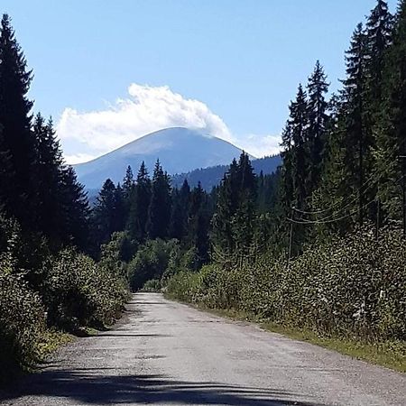 Говерлянка Villa Vorokhta Eksteriør bilde