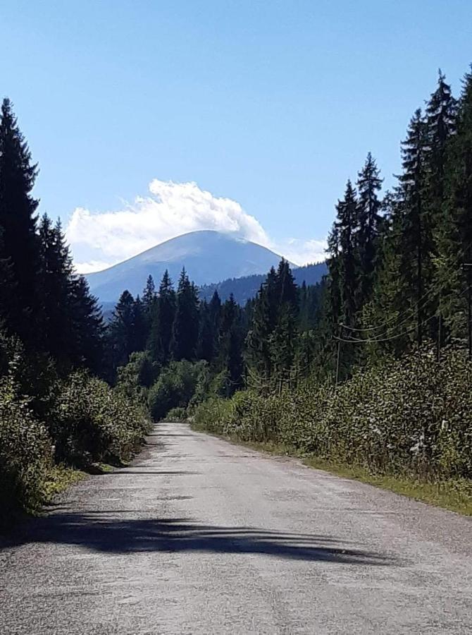 Говерлянка Villa Vorokhta Eksteriør bilde