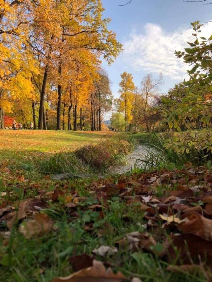 Говерлянка Villa Vorokhta Eksteriør bilde