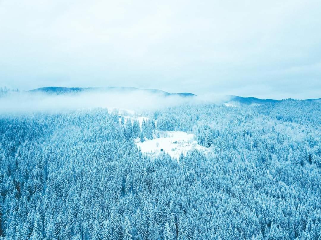 Говерлянка Villa Vorokhta Eksteriør bilde