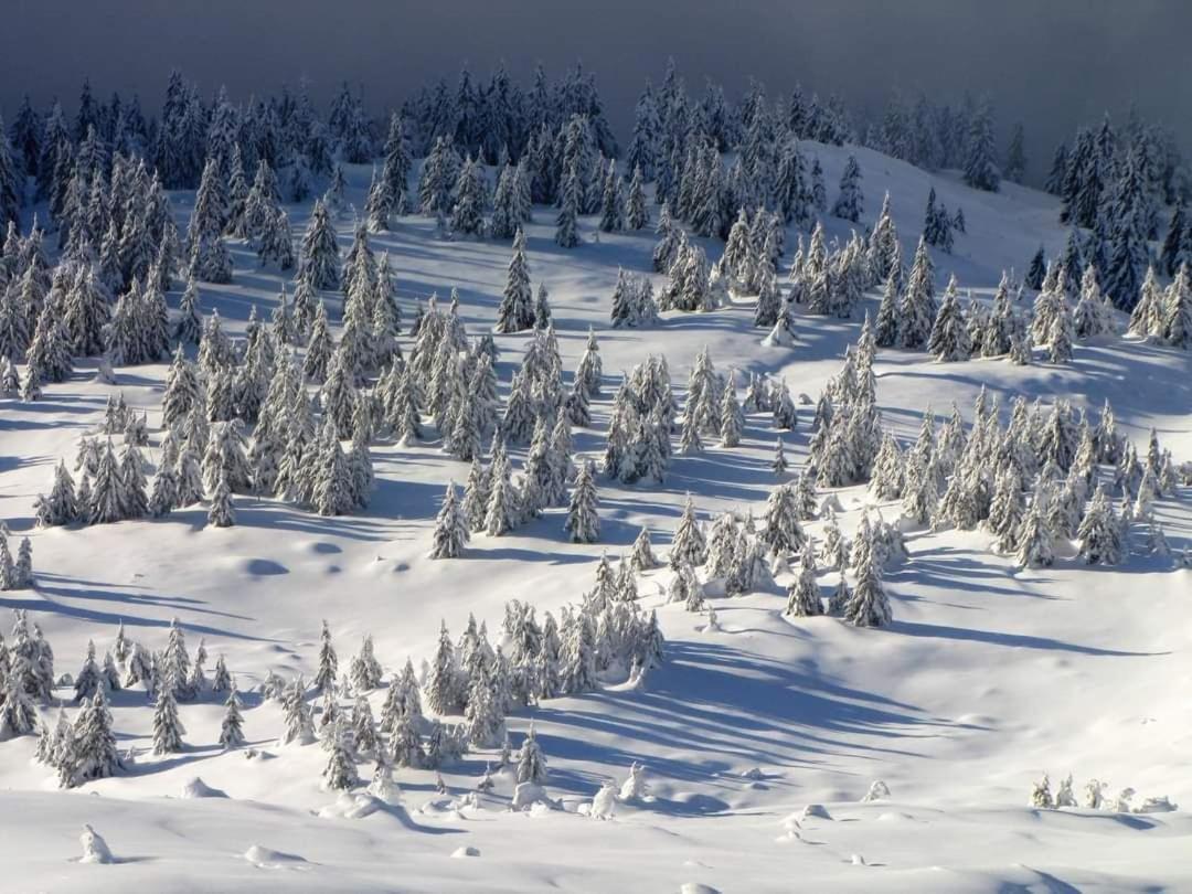 Говерлянка Villa Vorokhta Eksteriør bilde